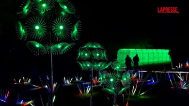 Bulgaria, il giardino botanico di Sofia si accende di luci