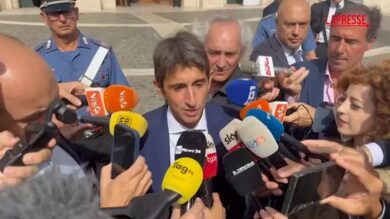Legge elettorale, Donzelli: "Consulta è cosa più seria delle correnti del Pd"