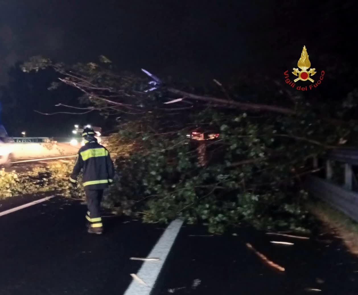 Allerta meteo Roma, nubifragio nella notte: 120 interventi dei Vigili del Fuoco Allerta meteo Roma, nubifragio nella notte: 120 interventi dei Vigili del Fuoco