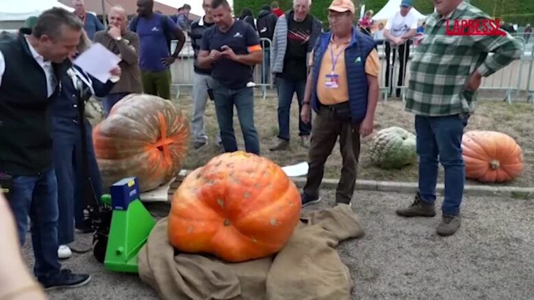 Francia, la festa autunnale delle zucche di Andrézieux-Bouthéon: quella più pesante vince