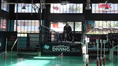 A Roma il primo Dog Diving d'Europa: un circolo acquatico dove i cani si allenano a fare i tuffi