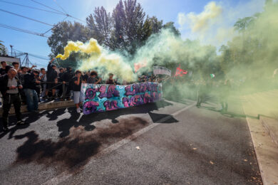 Manifestazione degli studenti contro riforma scuola - le immagini da Roma (Foto (Benvenuti/Lapresse)